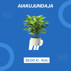 Aiakujundaja VIP