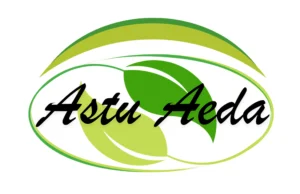 Astuaeda Logo