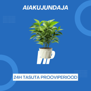 Aiakujundaja VIP (24h tasuta prooviperiood)